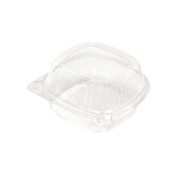 Plastic Clear Hinged Lid Container, Small, 20 oz