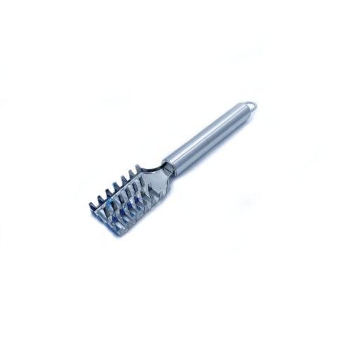 Fish Scaler, Stainless Steel